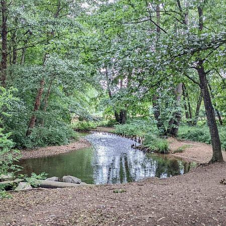 Maison Au Calme, 6 Voyageurs Riorges Exteriér fotografie