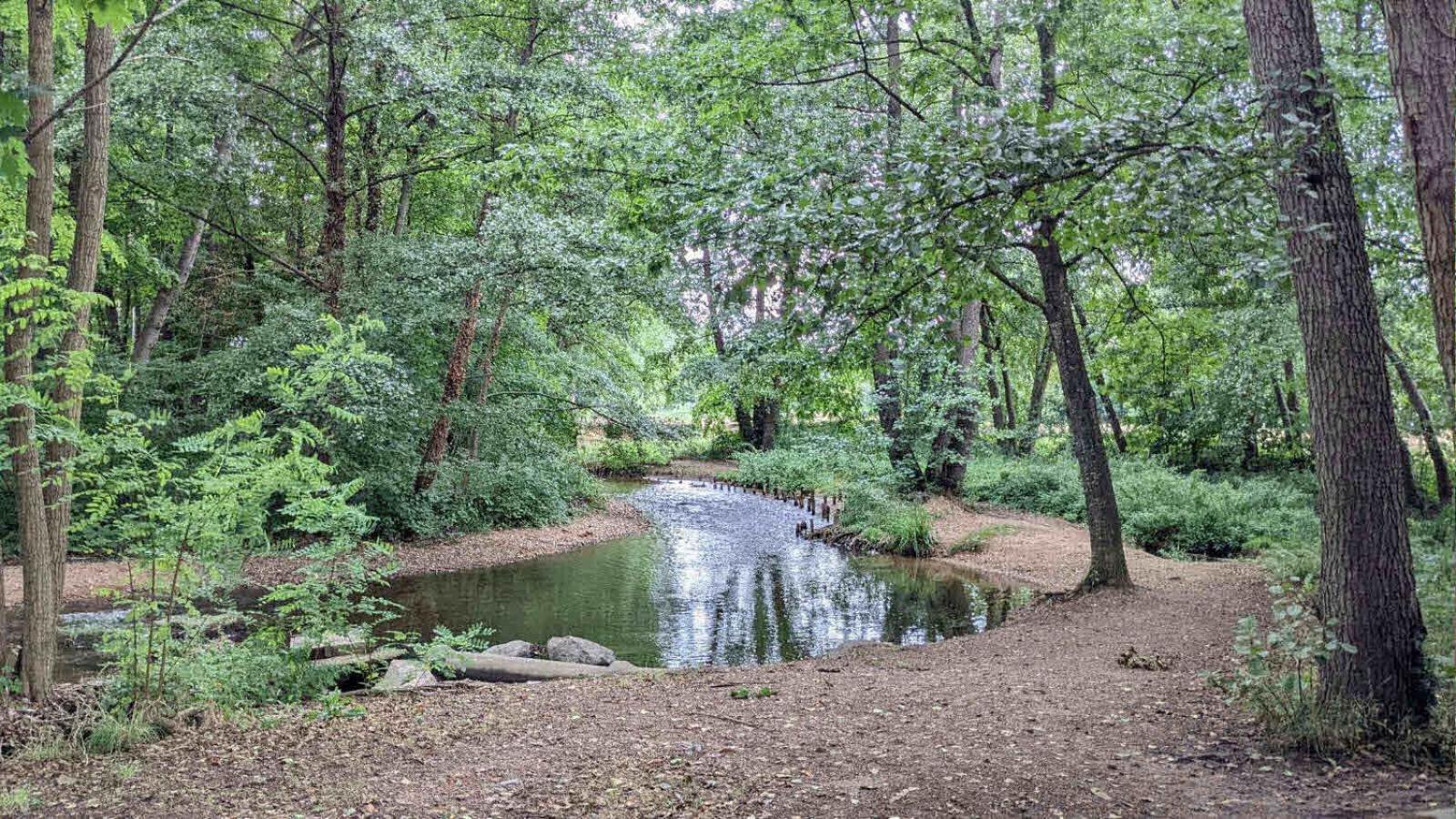 Maison Au Calme, 6 Voyageurs Riorges Exteriér fotografie